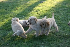 4500-82-1_25072014205836