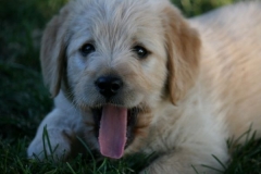 4501-82-1_25072014205912