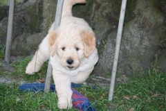 4506-82-1_25072014205951