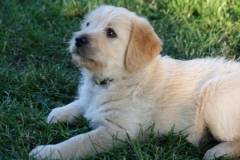 4508-82-1_25072014205952