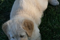 4510-82-1_25072014205952