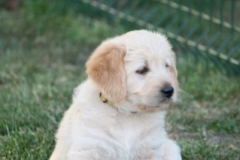 4512-82-1_25072014210030