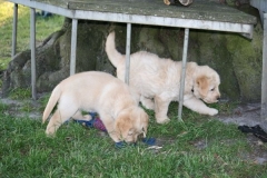 4514-82-1_25072014210030