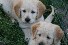 4518-82-1_25072014210053