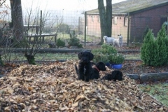 2147-42-1_22112011130154