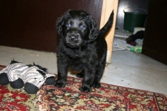 2422-44-1_06032012095324