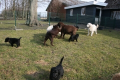 2447-44-1_06032012142743