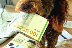 aya nr 2 riga peanut