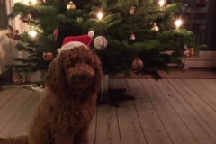 Ellie fra cherry og Soul