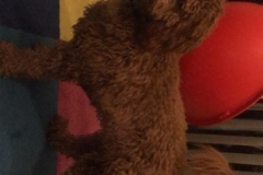 MAGGI FRA cHERRY OG SOUL