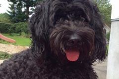 Villa fra Teide den 15.7.2016