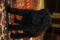 brun han 1 (683x1024)