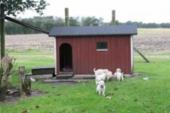 1701-37-1_30082011113154