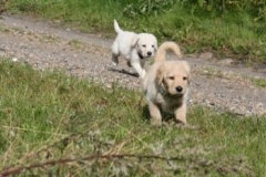 1702-37-1_30082011113154