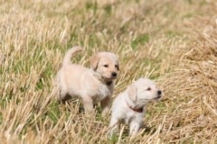 1704-37-1_30082011113154