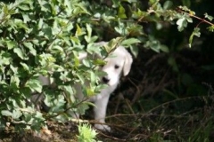 1708-37-1_30082011113155