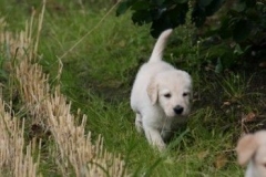 1710-37-1_30082011113155