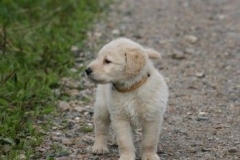 1712-37-1_30082011113155