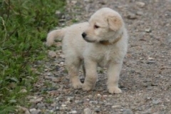 1713-37-1_30082011113155