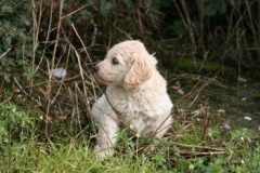 1714-37-1_30082011113155