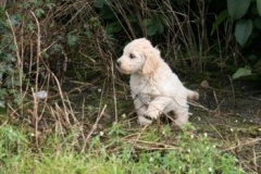 1715-37-1_30082011113155