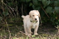 1716-37-1_30082011113155