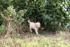 1717-37-1_30082011113155