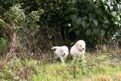 1718-37-1_30082011113155