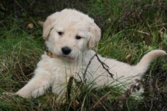 1724-37-1_30082011113156