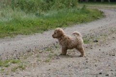 1725-37-1_30082011113156