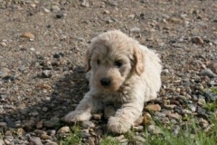 1735-37-1_30082011113156