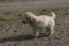 1736-37-1_30082011113156