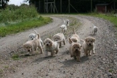 1738-37-1_30082011113156