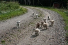 1739-37-1_30082011113156