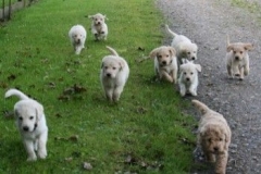 1740-37-1_30082011113156