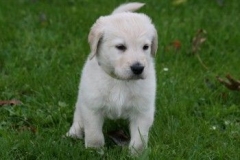 1744-37-1_30082011113157