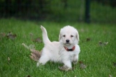 1745-37-1_30082011113157