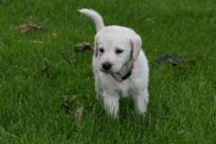 1746-37-1_30082011113157