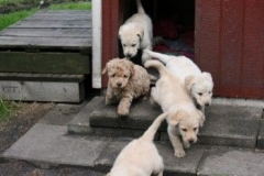 1748-37-1_30082011113157