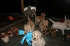 1749-37-1_31082011092044