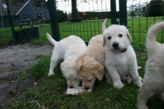 1752-37-1_31082011194918