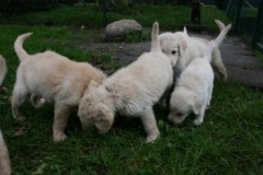 1753-37-1_31082011194918