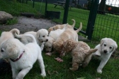 1754-37-1_31082011194918