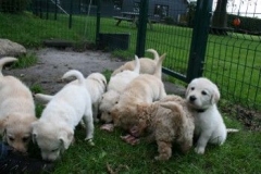 1755-37-1_31082011194918