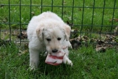 1756-37-1_31082011194918