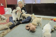 1757-37-1_03092011164548