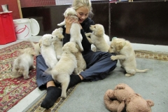 1758-37-1_03092011164550