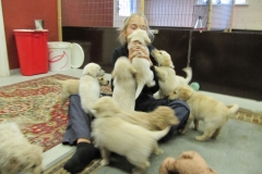 1759-37-1_03092011164553