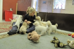 1760-37-1_03092011164556