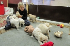 1761-37-1_03092011164559